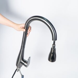 Vòi rửa Fulco - F55